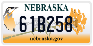 61B258  license plate in NE