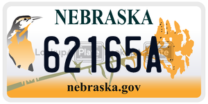 62165A  license plate in NE