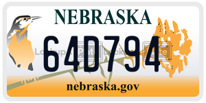 64D794  license plate in NE
