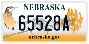 65528A  license plate in NE