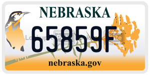 65859F  license plate in NE