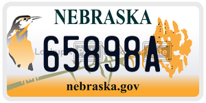 65898A  license plate in NE