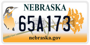 65A173  license plate in NE