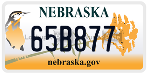 65B877  license plate in NE