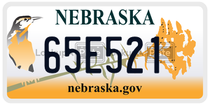 65E521  license plate in NE