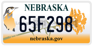 65F298  license plate in NE