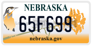 65F699  license plate in NE