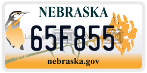 65F855 license plate in Nebraska