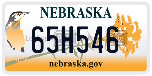 65H546 license plate in Nebraska