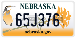 65J376  license plate in NE