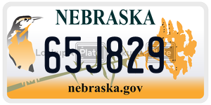 65J829  license plate in NE