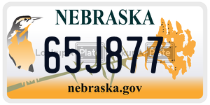 65J877  license plate in NE