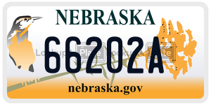 66202A  license plate in NE