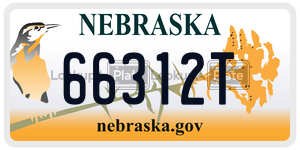 66312T  license plate in NE
