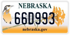66D993  license plate in NE