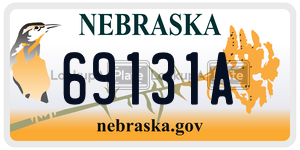69131A  license plate in NE