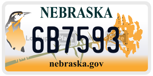6B7593  license plate in NE