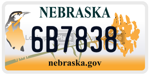 6B7838  license plate in NE