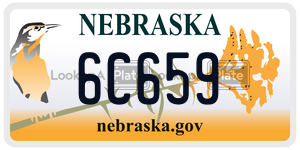 6C659  license plate in NE