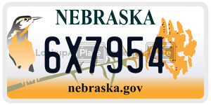 6X7954  license plate in NE