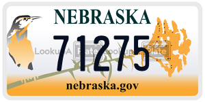71275  license plate in NE