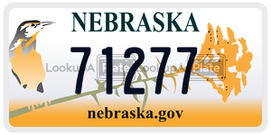 71277  license plate in NE