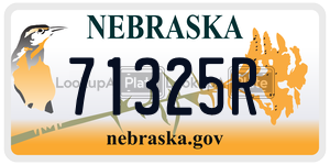 71325R  license plate in NE