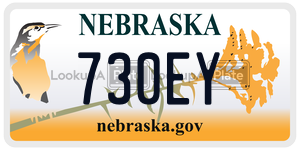 730EY  license plate in NE