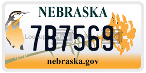 7B7569  license plate in NE