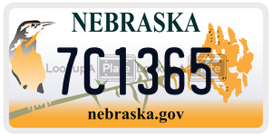 7C1365  license plate in NE