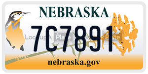 7C7891  license plate in NE
