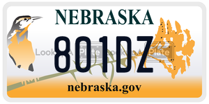 801DZ license plate in Nebraska