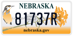 81737R  license plate in NE