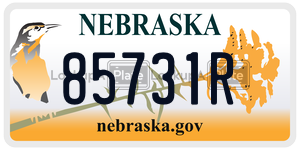 85731R  license plate in NE