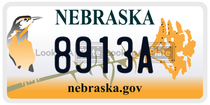 8913A  license plate in NE