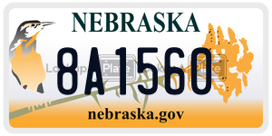8A1560  license plate in NE
