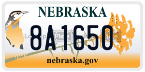 8A1650  license plate in NE