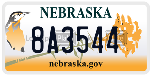 8A3544  license plate in NE