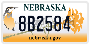 8B2584  license plate in NE