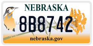 8B8742  license plate in NE