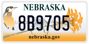 8B9705  license plate in NE