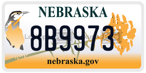 8B9973  license plate in NE