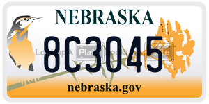 8C3045  license plate in NE