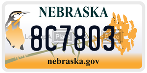 8C7803  license plate in NE
