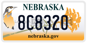 8C8320  license plate in NE