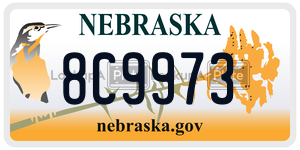 8C9973  license plate in NE