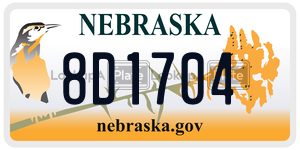 8D1704  license plate in NE