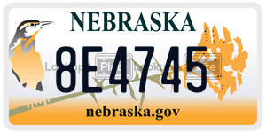 8E4745 license plate in Nebraska