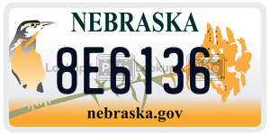 8E6136 license plate in Nebraska