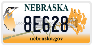 8E628  license plate in NE